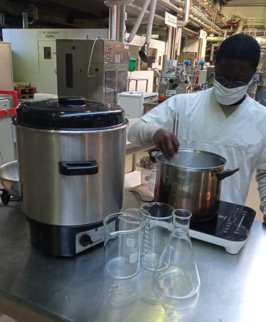 Société Sénégalaise de Transformation Locale