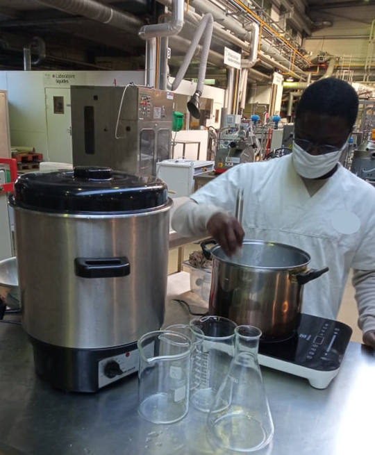 Société Sénégalaise de Transformation Locale